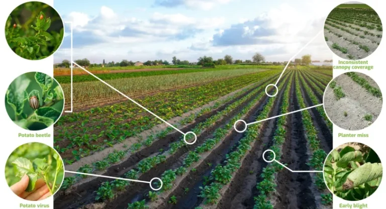 Using Historical Crop Acreage Data to Understand and Predict Crop Rotation Patterns