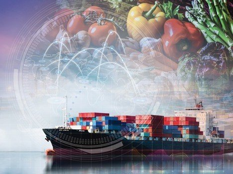 What to Consider When Shipping Perishable Goods via Freight