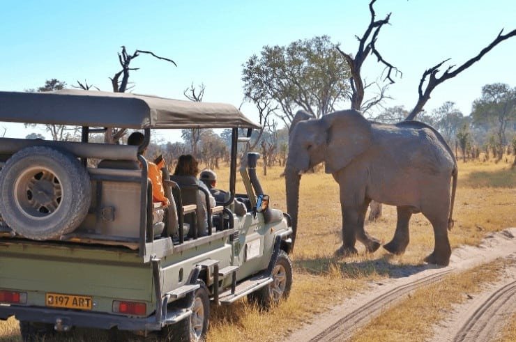 The Best Botswana Safari Itinerary