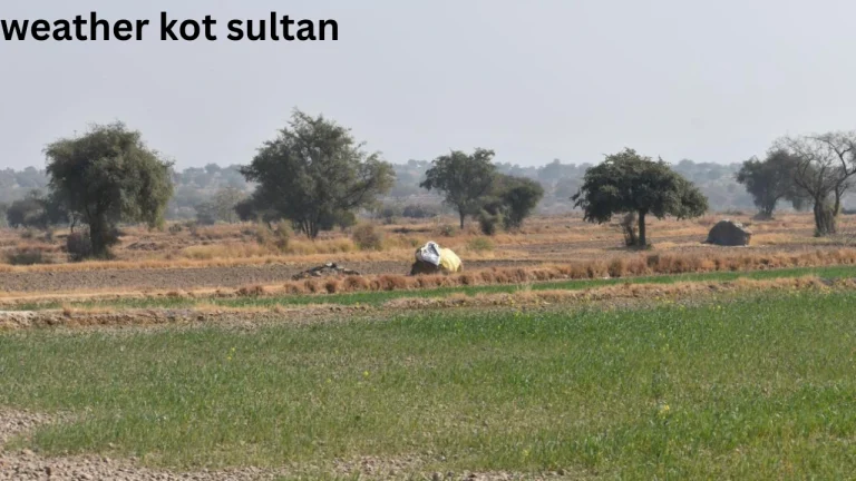 weather kot sultan