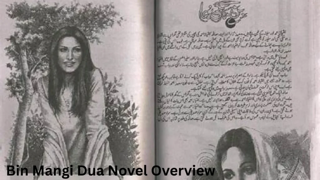 Bin Mangi Dua Novel Overview