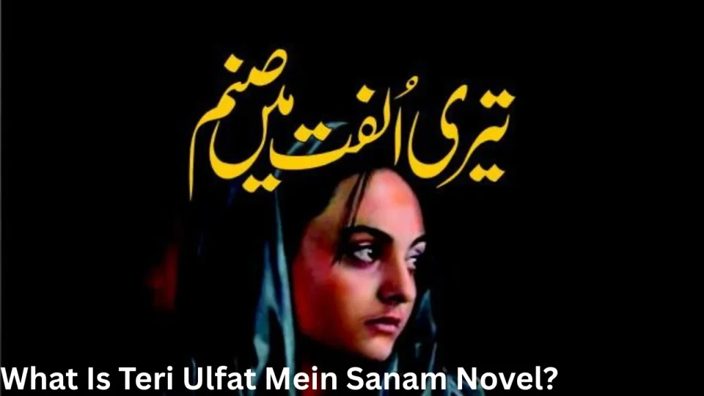 What Is Teri Ulfat Mein Sanam Novel