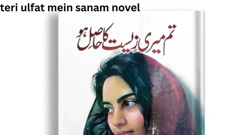 teri ulfat mein sanam novel